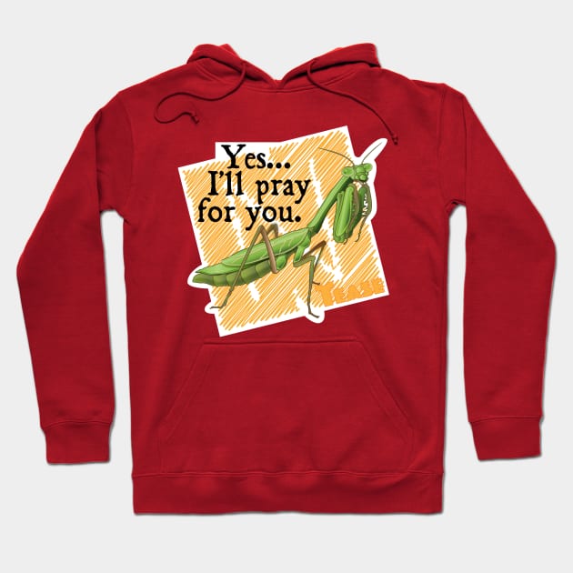 Yes, I'll pray for you. Hoodie by NN Tease